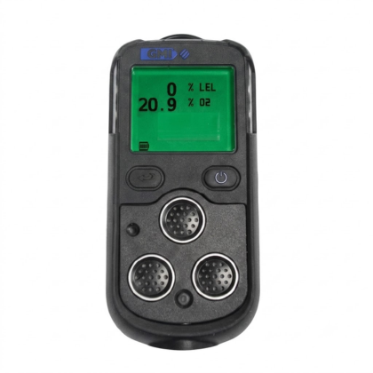 Testing service for GMIPS-200 MultiGas Monitor,O2 Lel in Sangrur, Punjab, India